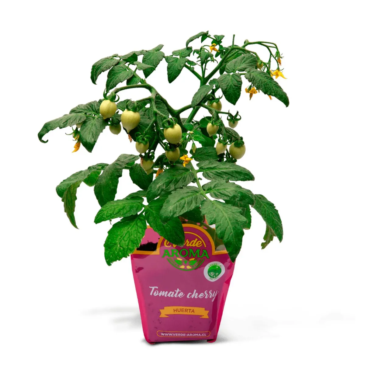 VERDE AROMA - Tomate Cherry Orgánico Verde Aroma