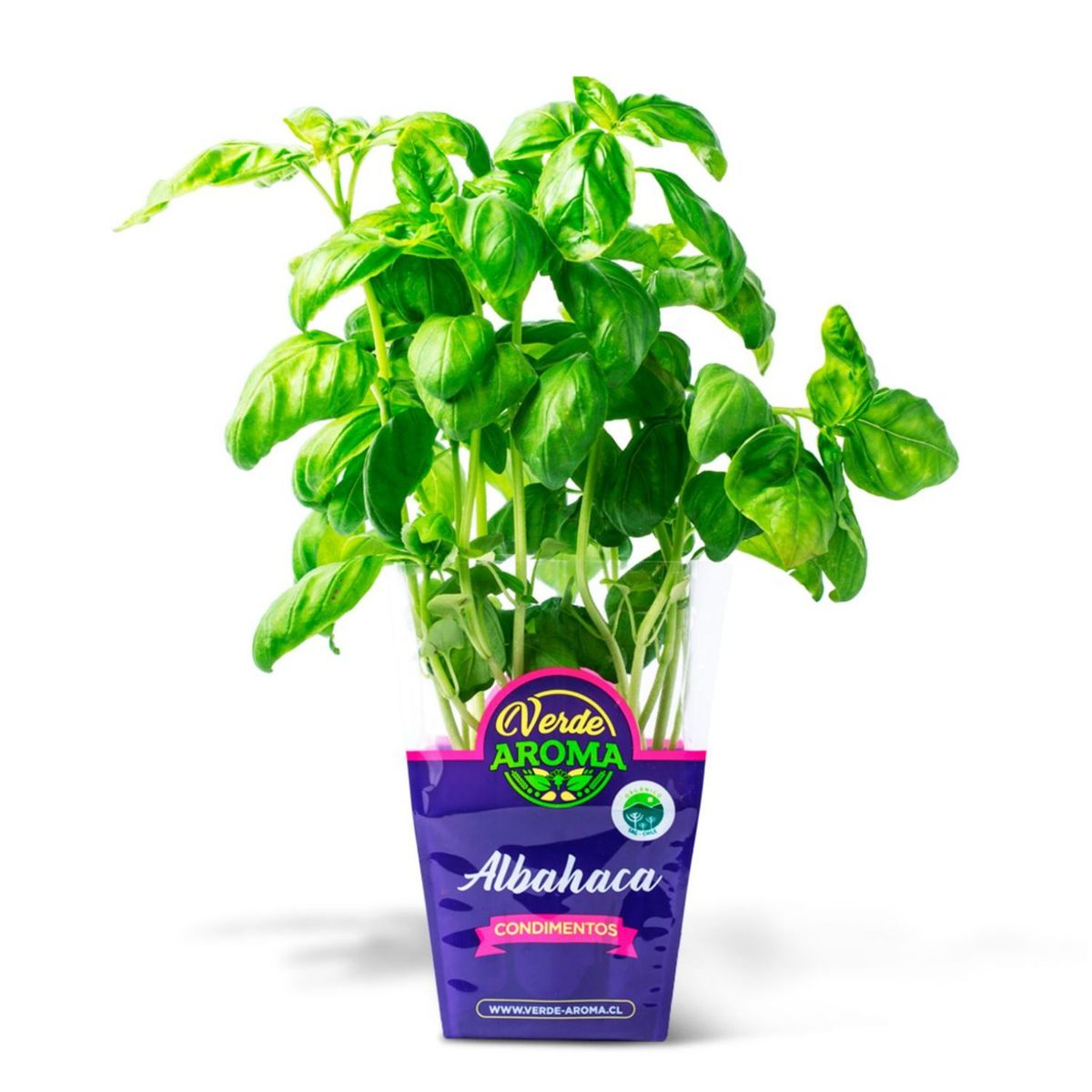VERDE AROMA - Albahaca Orgánica Verde Aroma