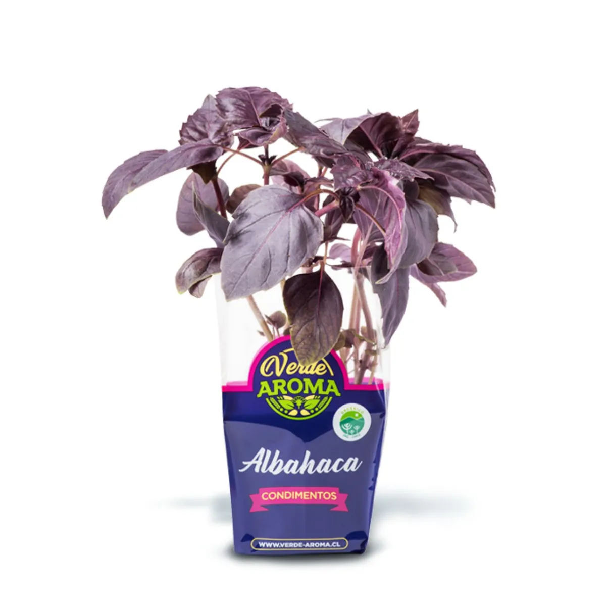 VERDE AROMA - Albahaca Morada Orgánica Verde Aroma