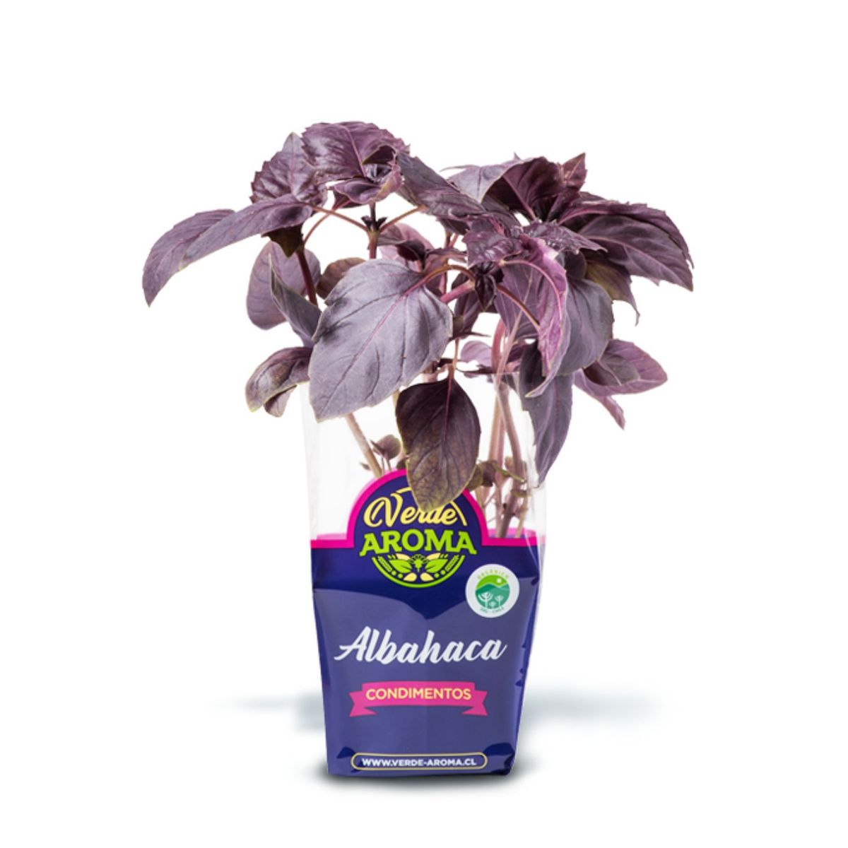 VERDE AROMA - Albahaca Morada Orgánica Verde Aroma