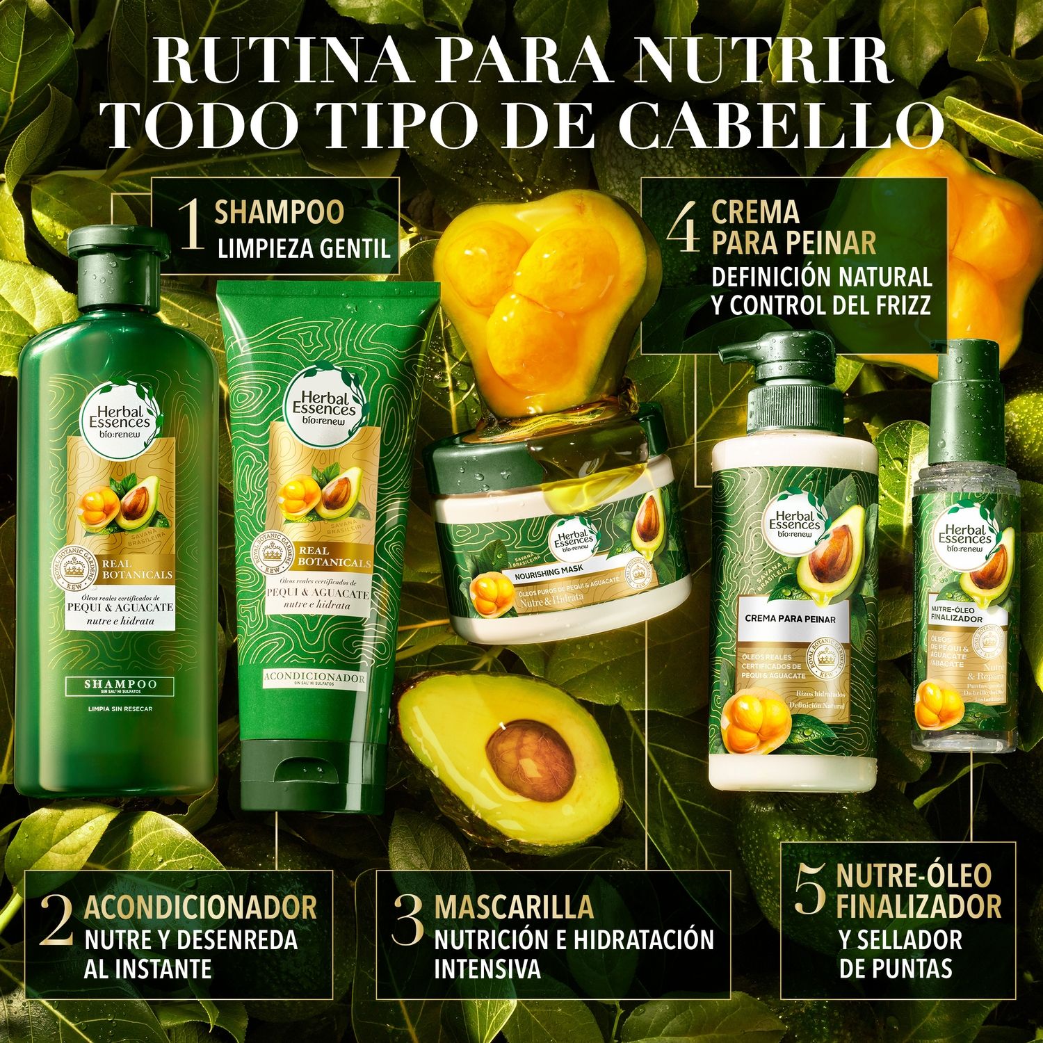 Shampoo Sin Sal Nutre e Hidrata Pequi & Palta Herbal Essences 400