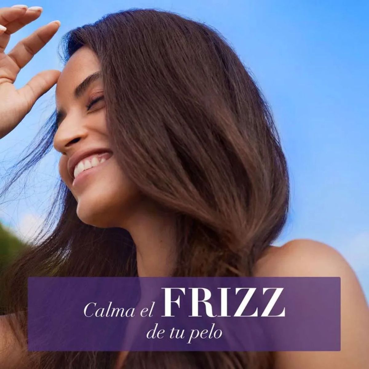 HERBAL ESSENCES - Acondicionador Anti-Frizz Lavanda Herbal Essences 240 ml
