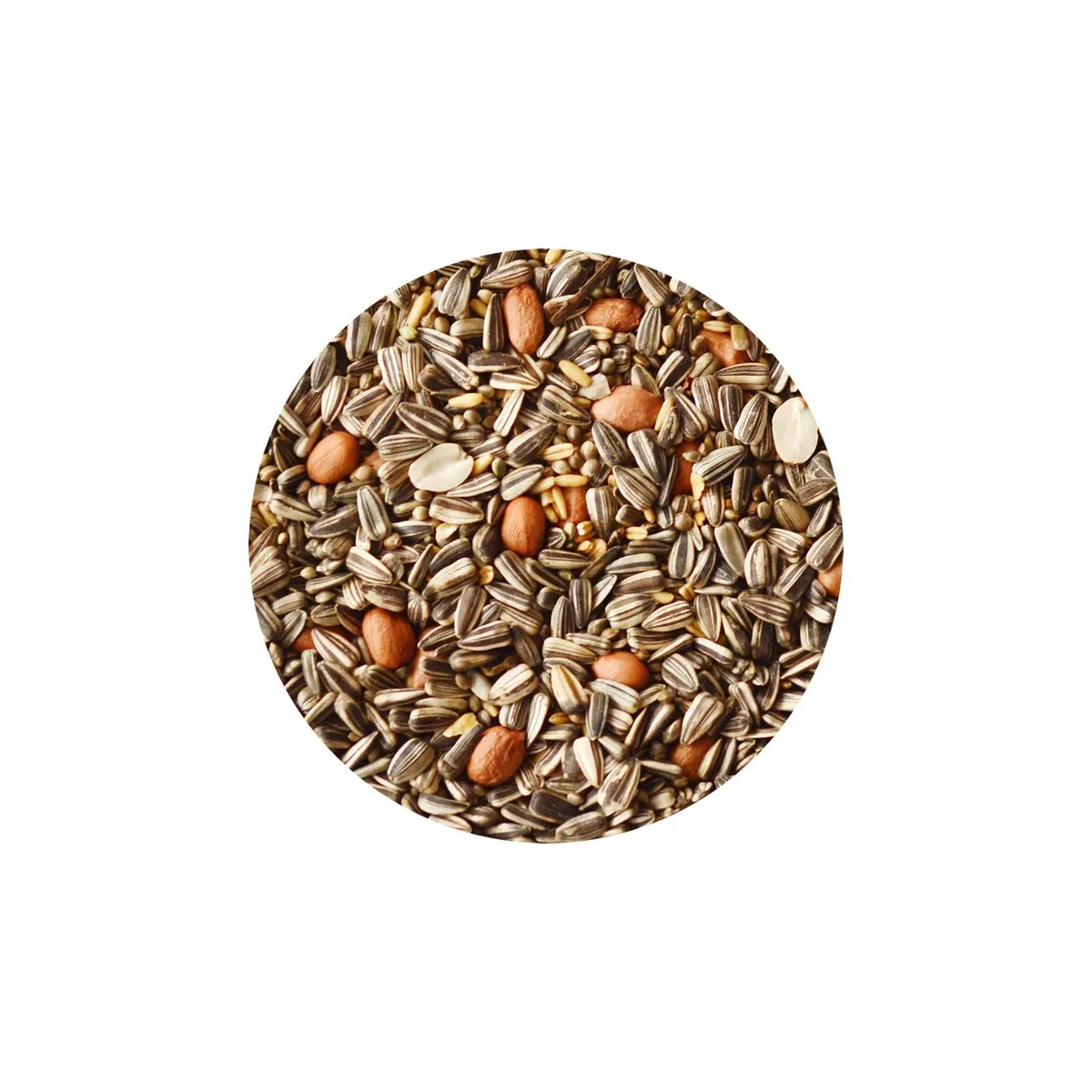 CANARY SONG - Alimento para Loros Semillas Canary Song 1 kg