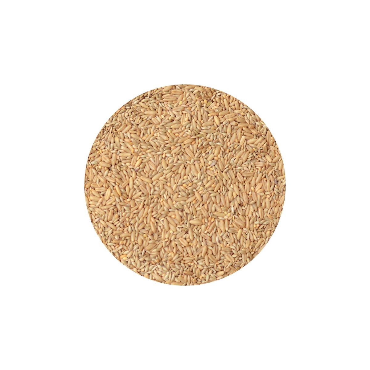 CANARY SONG - Alimento para Aves Catas Canary Song 1 Kg