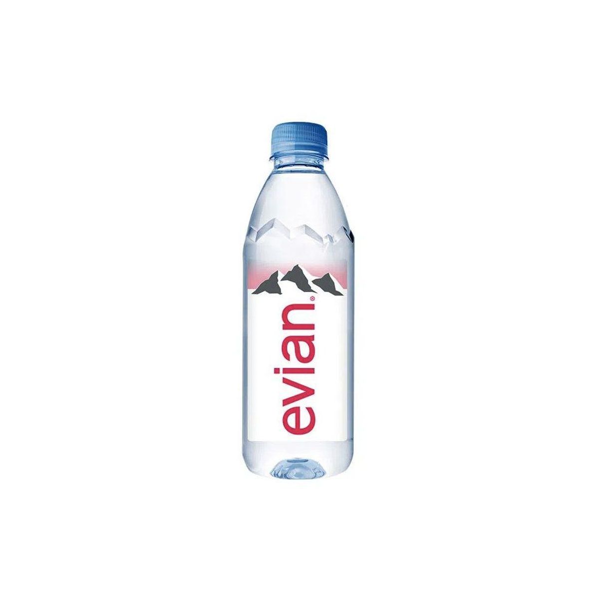 EVIAN - Agua Mineral Sin Gas Evian Botella 500 mL