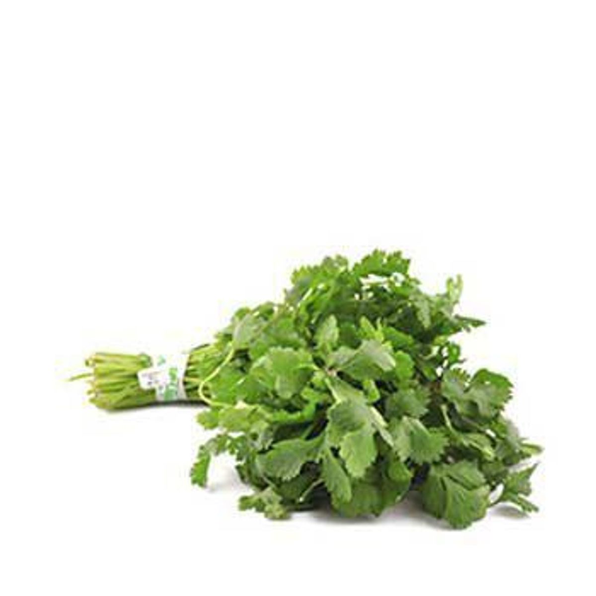 TOTTUS VERDURAS - Culantro Tottus