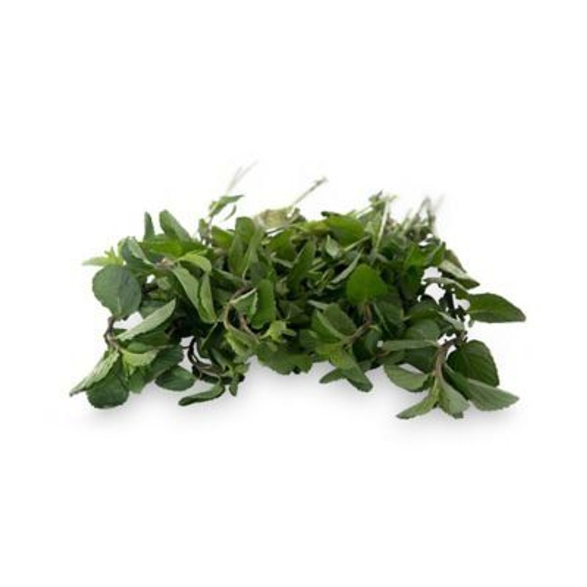 TOTTUS VERDURAS - Hierba Buena Tottus