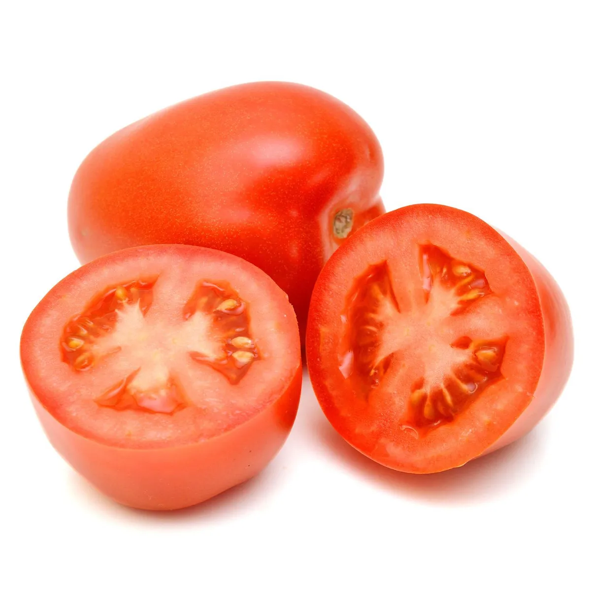 TOTTUS - Tomate Italiano Tottus