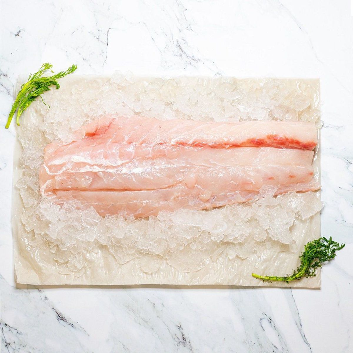 TOTTUS - Congrio Rojo Entero Fresco x kg