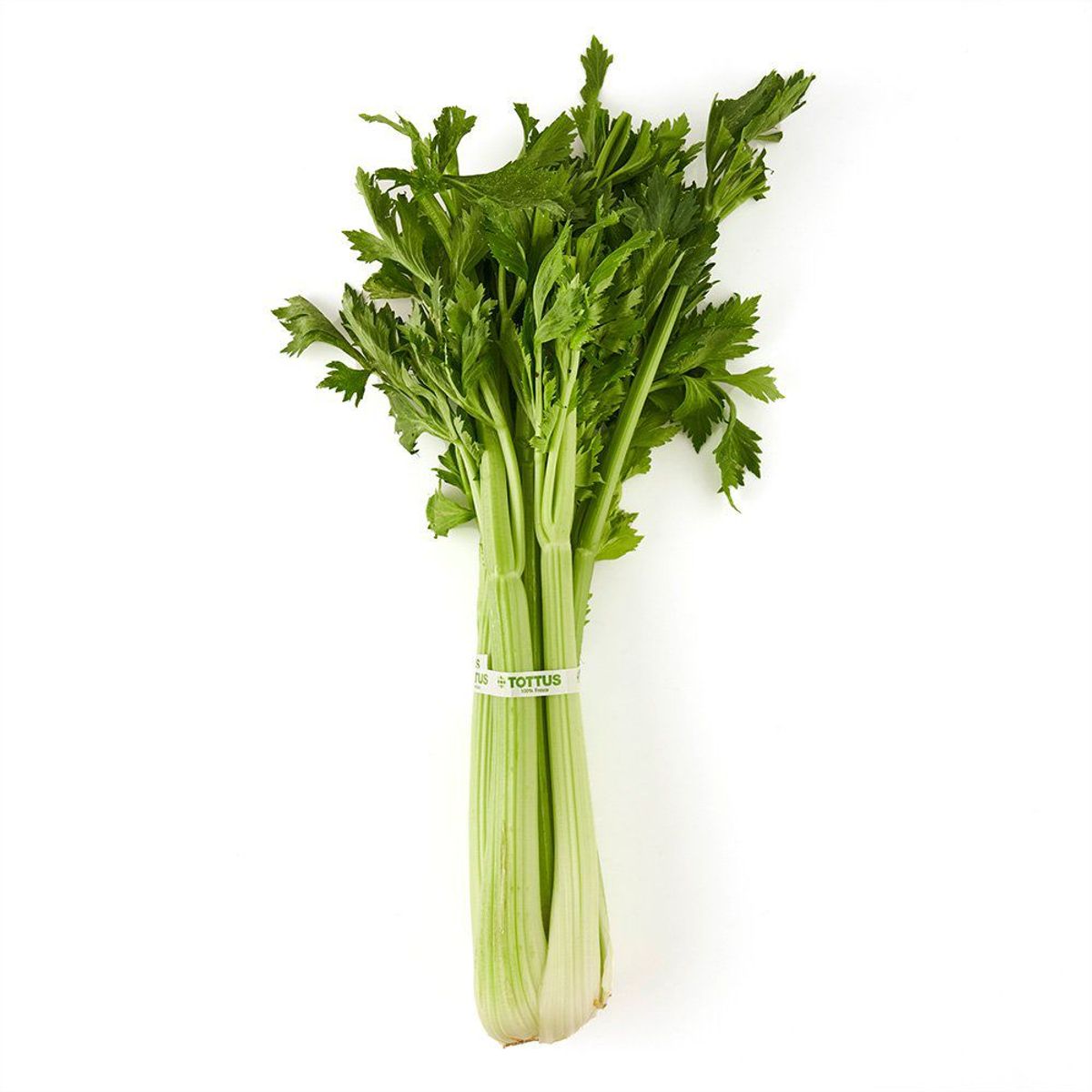 TOTTUS VERDURAS - Apio Tottus