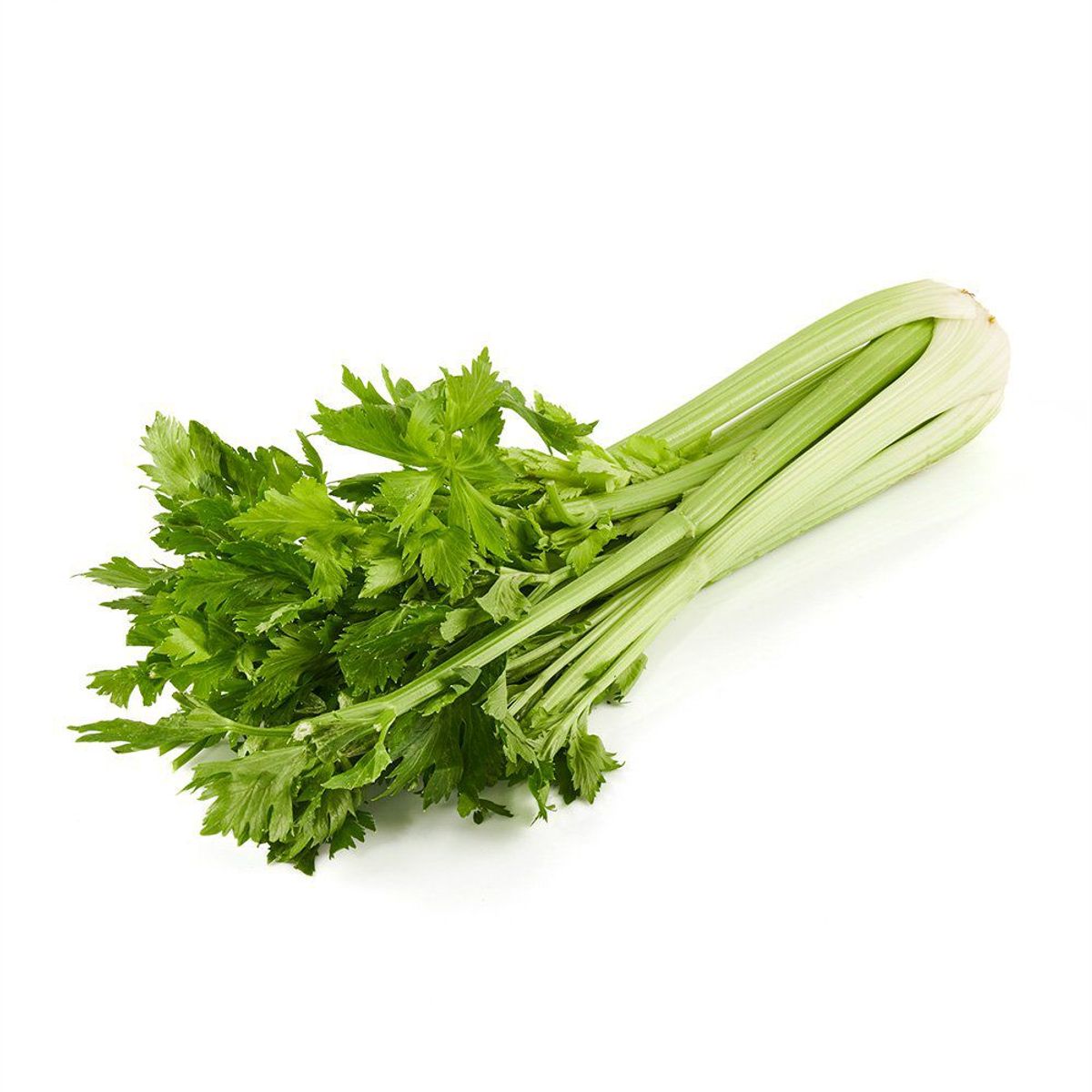 TOTTUS VERDURAS - Apio Tottus