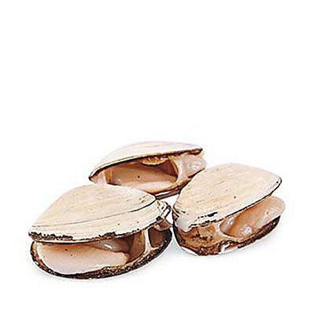 TOTTUS - Almejas Frescas x ud