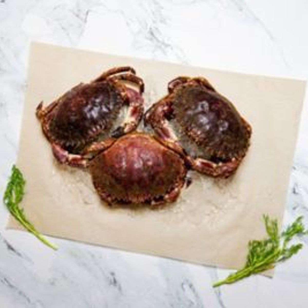 TOTTUS - Cangrejo Entero x ud