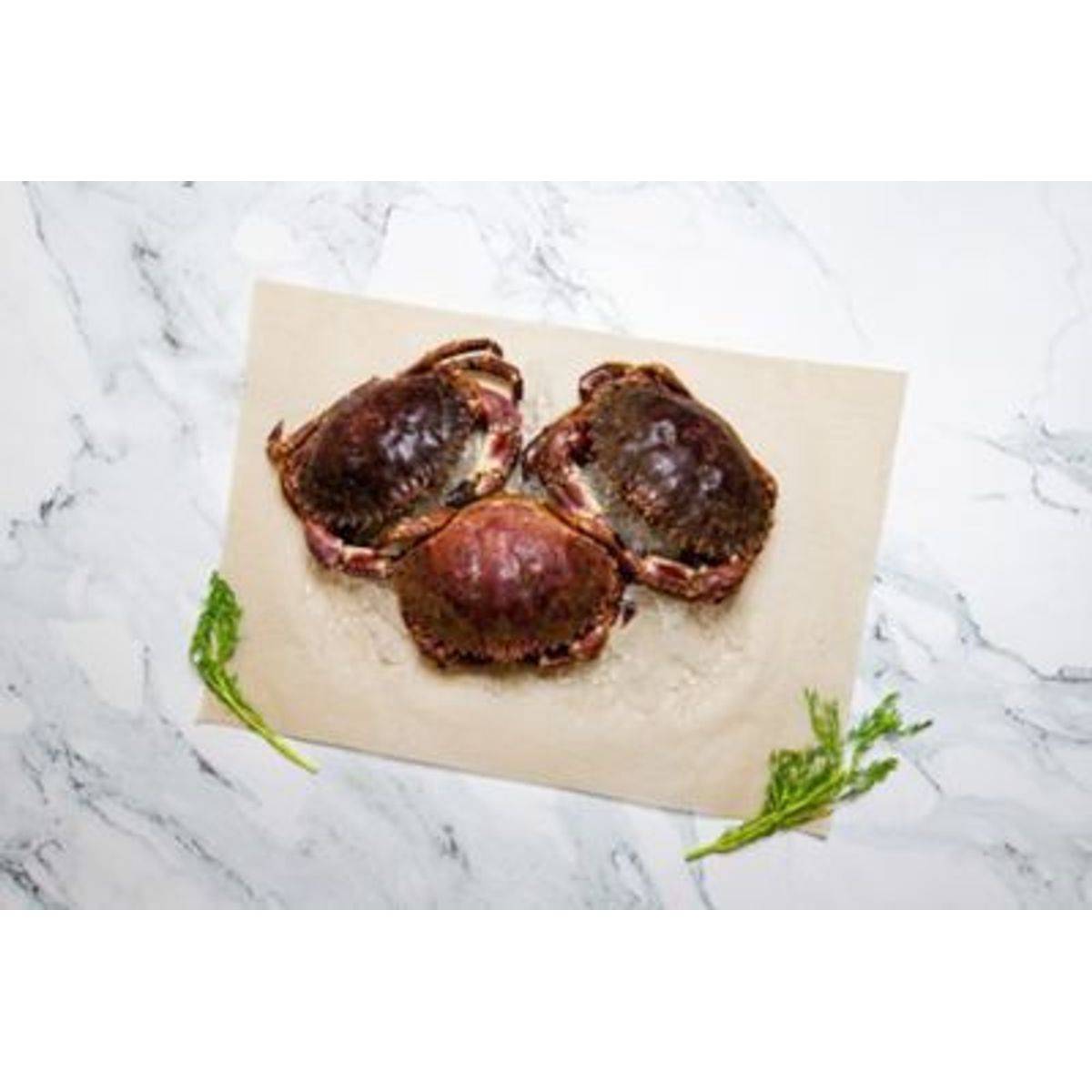 TOTTUS - Cangrejo Entero x ud