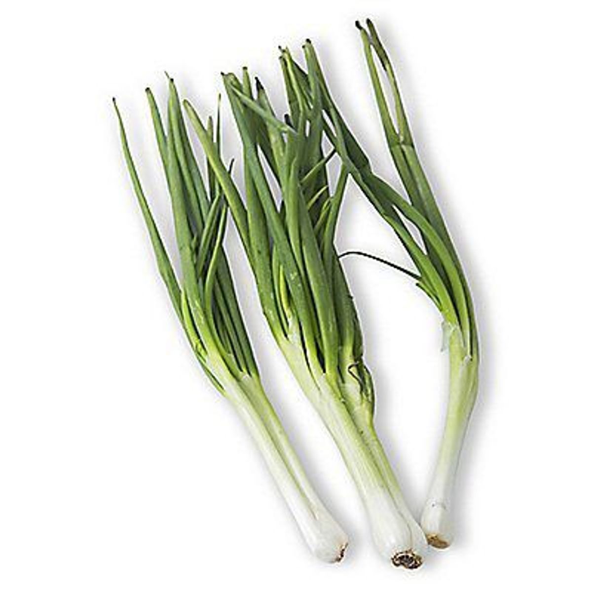 TOTTUS VERDURAS - Cebollita China Tottus