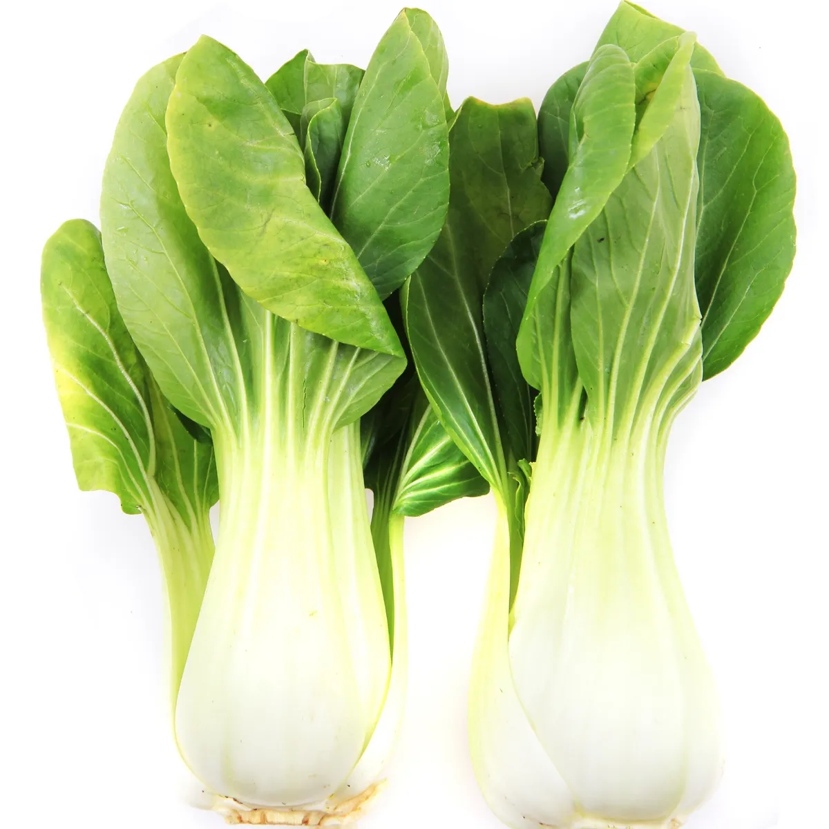 TOTTUS VERDURAS - Pac Choy x Un
