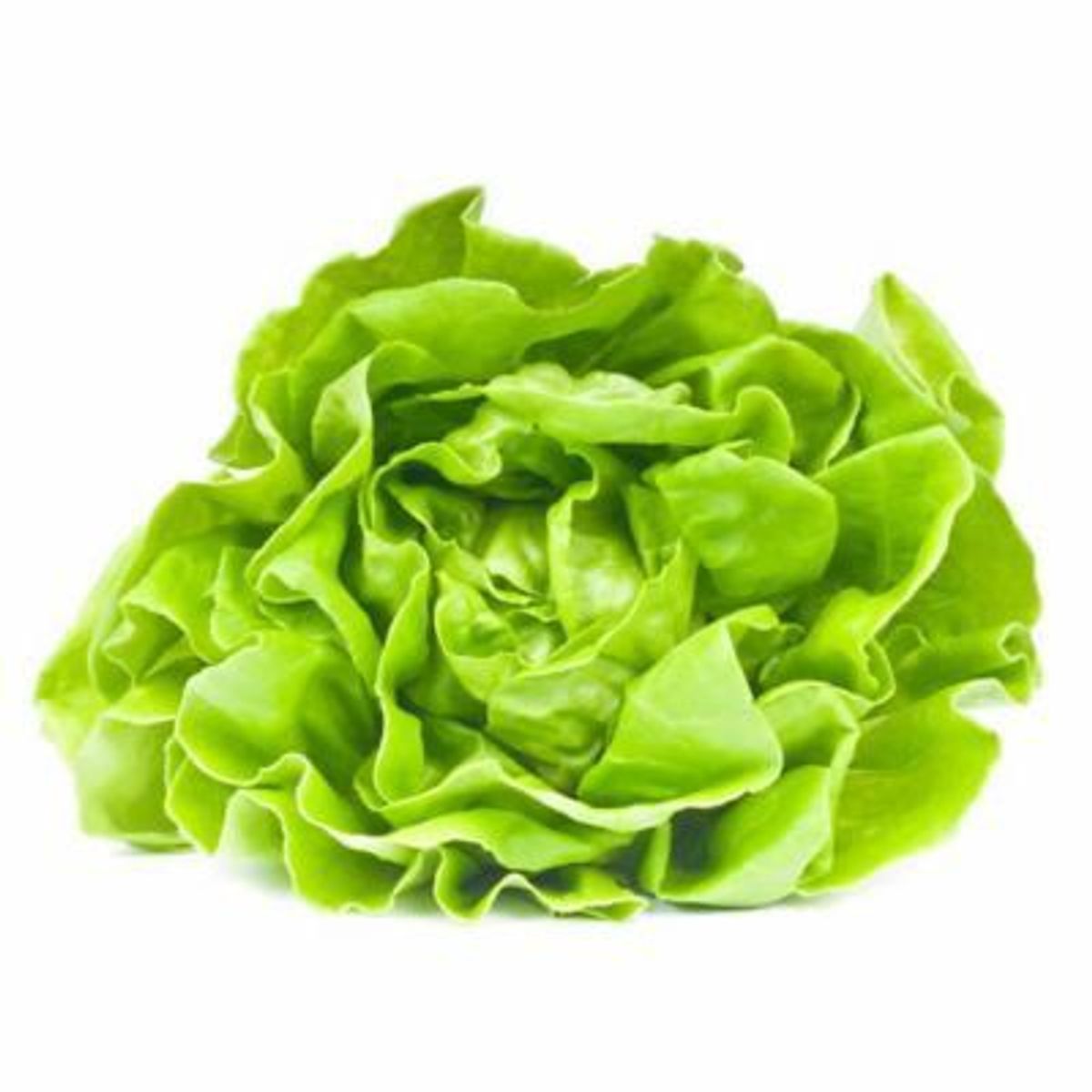 TOTTUS - Lechuga De Seda X Un