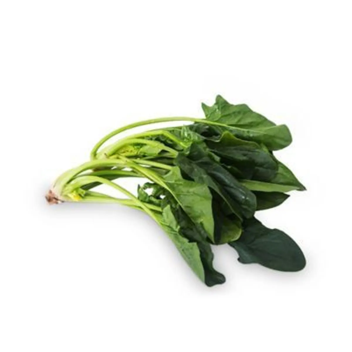 TOTTUS VERDURAS - Espinaca Tottus KG