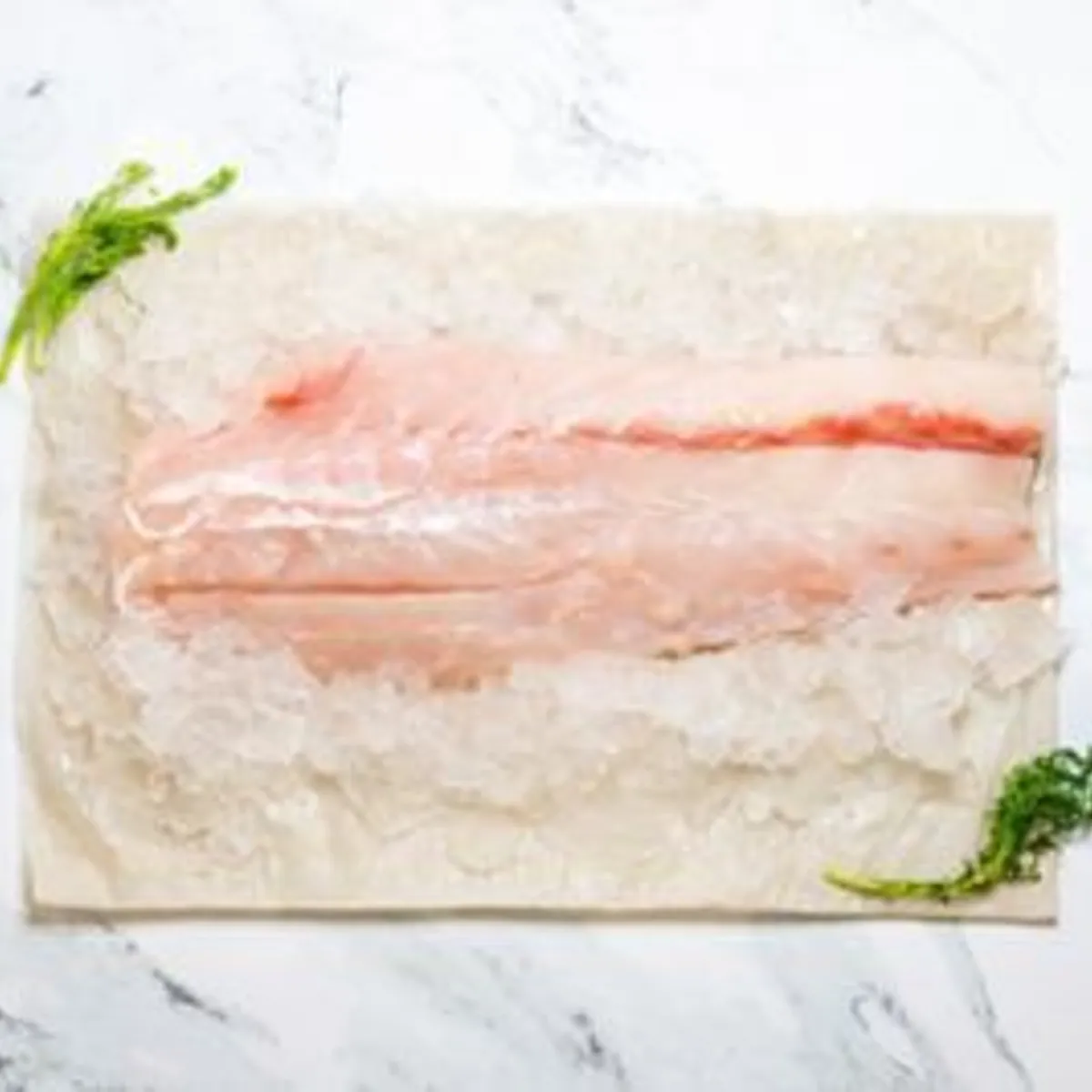 GRANEL - Filete de Congrio Rojo Fresco x kg