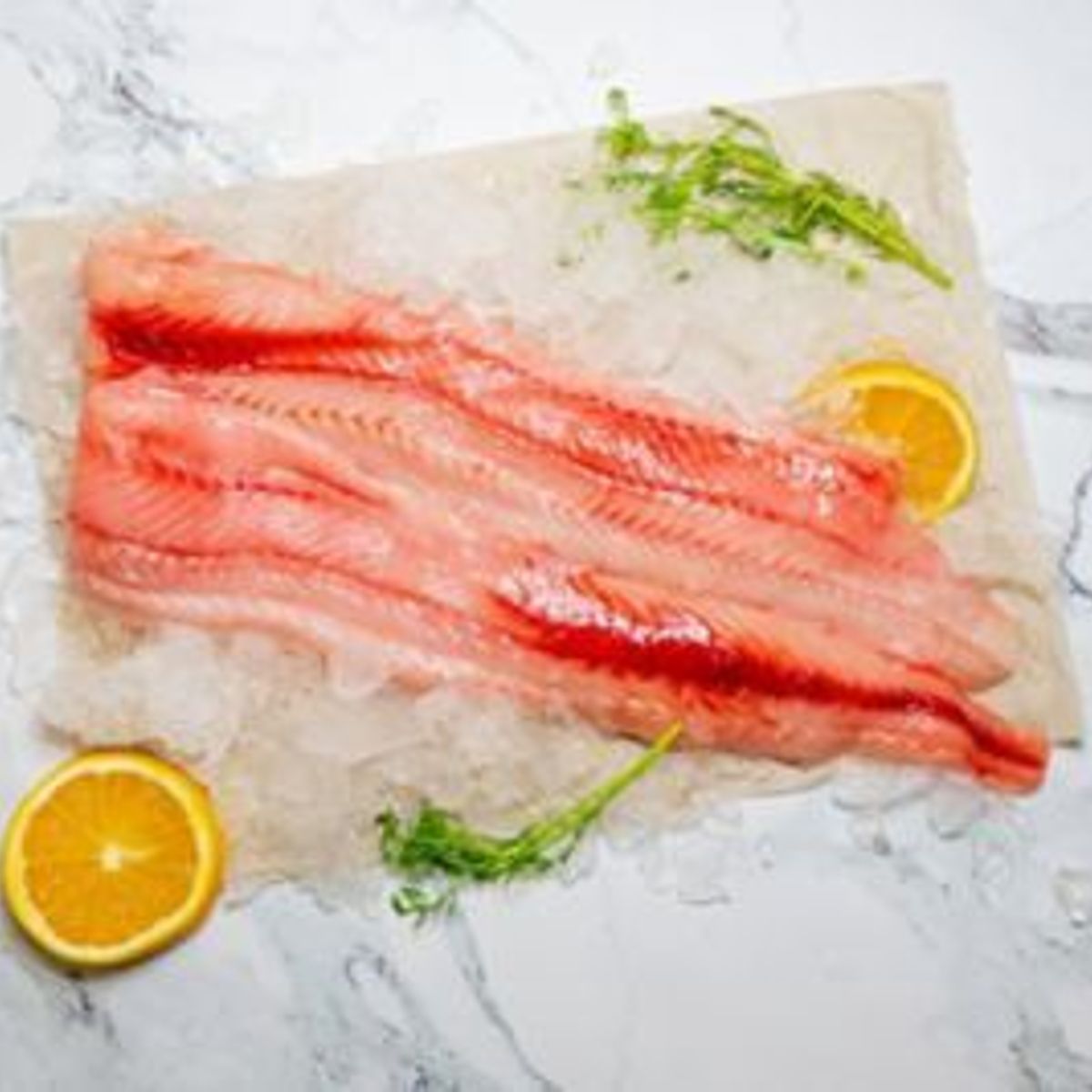 GRANEL - Filete de Tollo de Leche Fresco x kg