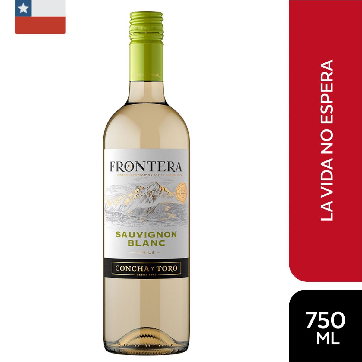 FRONTERA - Vino Blanco Frontera 12.5° Botella 750 mL