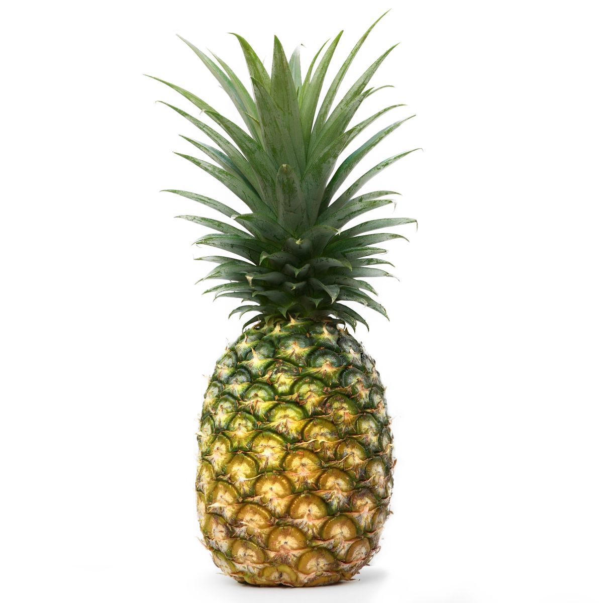 FRUTAS - Piña Golden Tottus