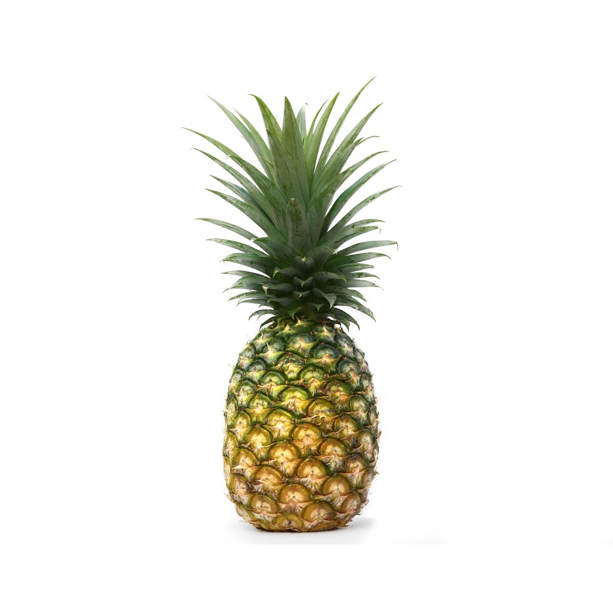 FRUTAS - Piña Golden Tottus