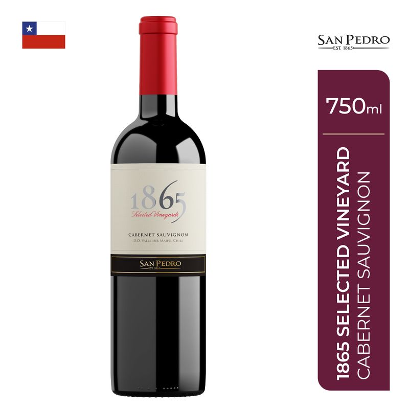 1865 - Vino Tinto 1865 Cabernet Sauvignon 14.4° Botella 750 mL