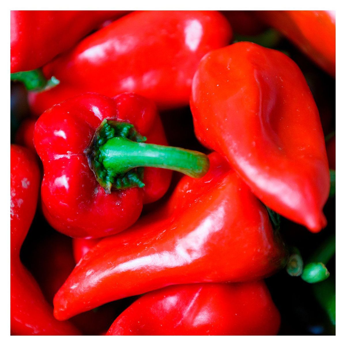 TOTTUS VERDURAS - Pimiento Piquillo Tottus