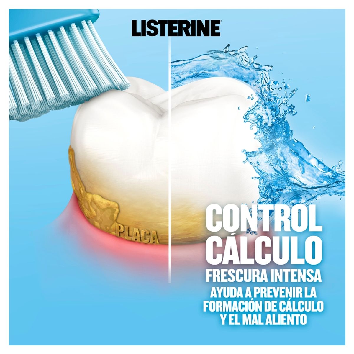 LISTERINE - Enjuague Bucal Listerine Control Sarro Botella 1 L