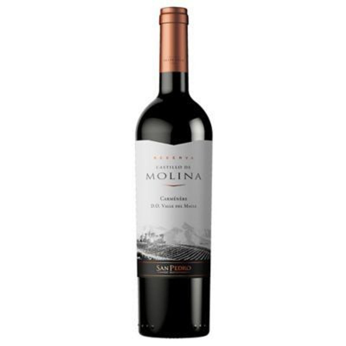 CASTILLO DE MOLINA - Vino Tinto Castillo de Molina Reserva Carmenere Botella 750 mL