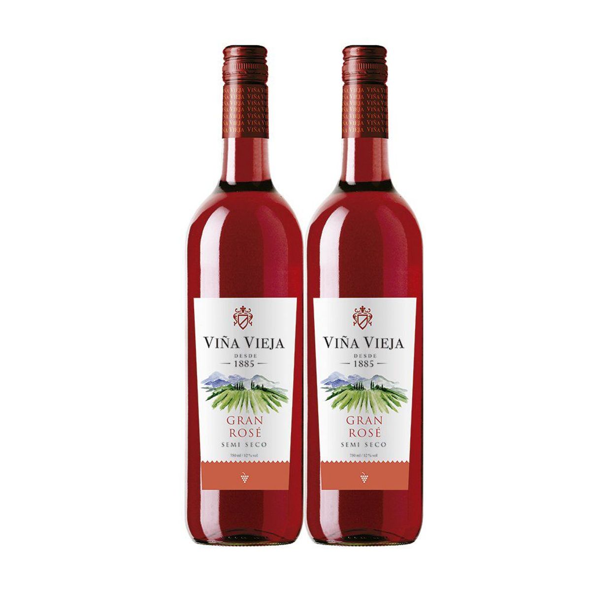 VIÑA VIEJA - Vino Viña Vieja Rosé Pack 2 Botellas 750 mL