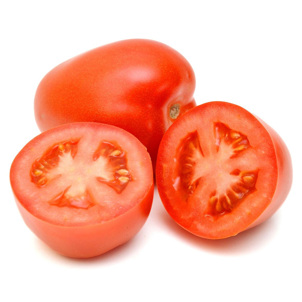 TOTTUS - Tomate Italiano Tottus