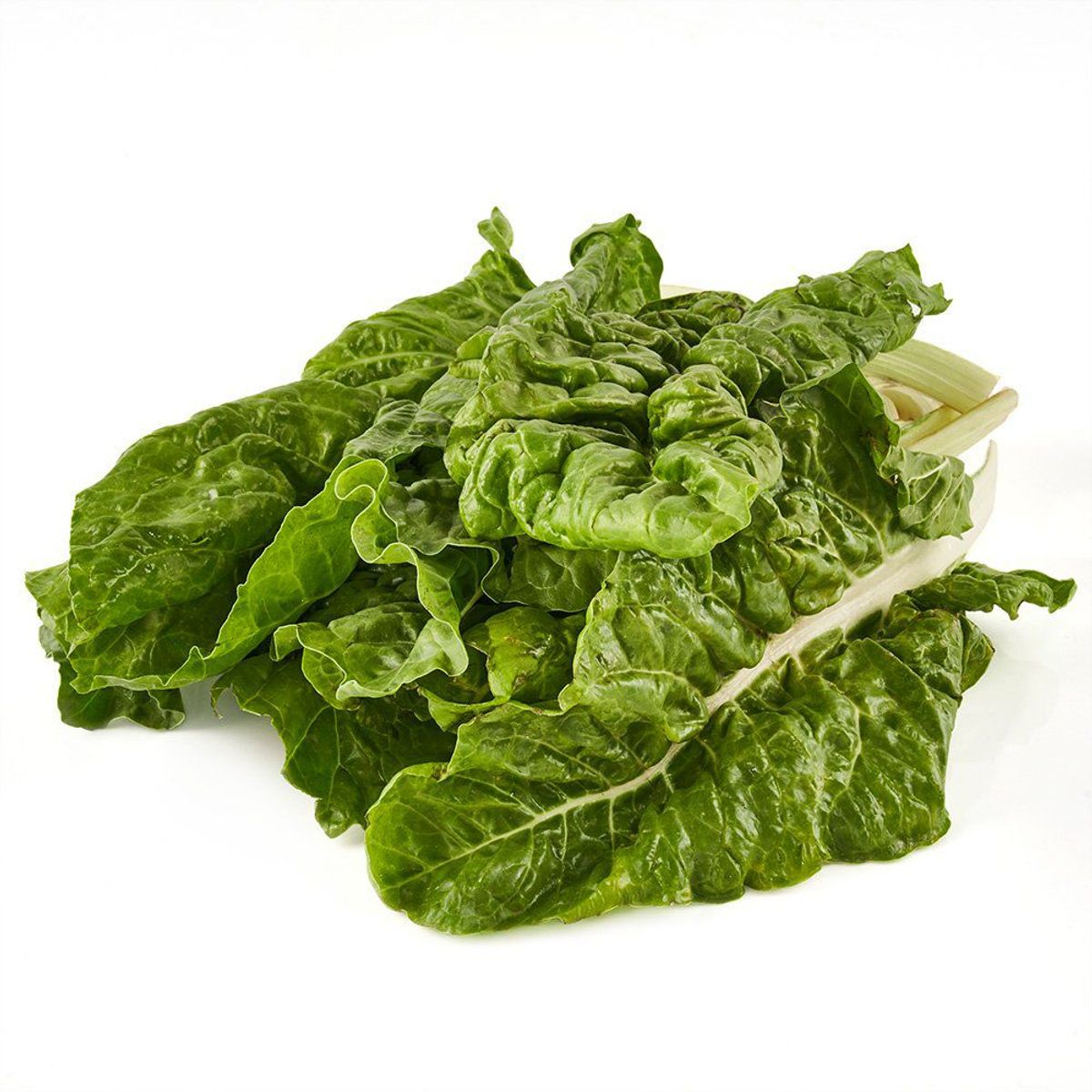 TOTTUS VERDURAS - Acelga Tottus