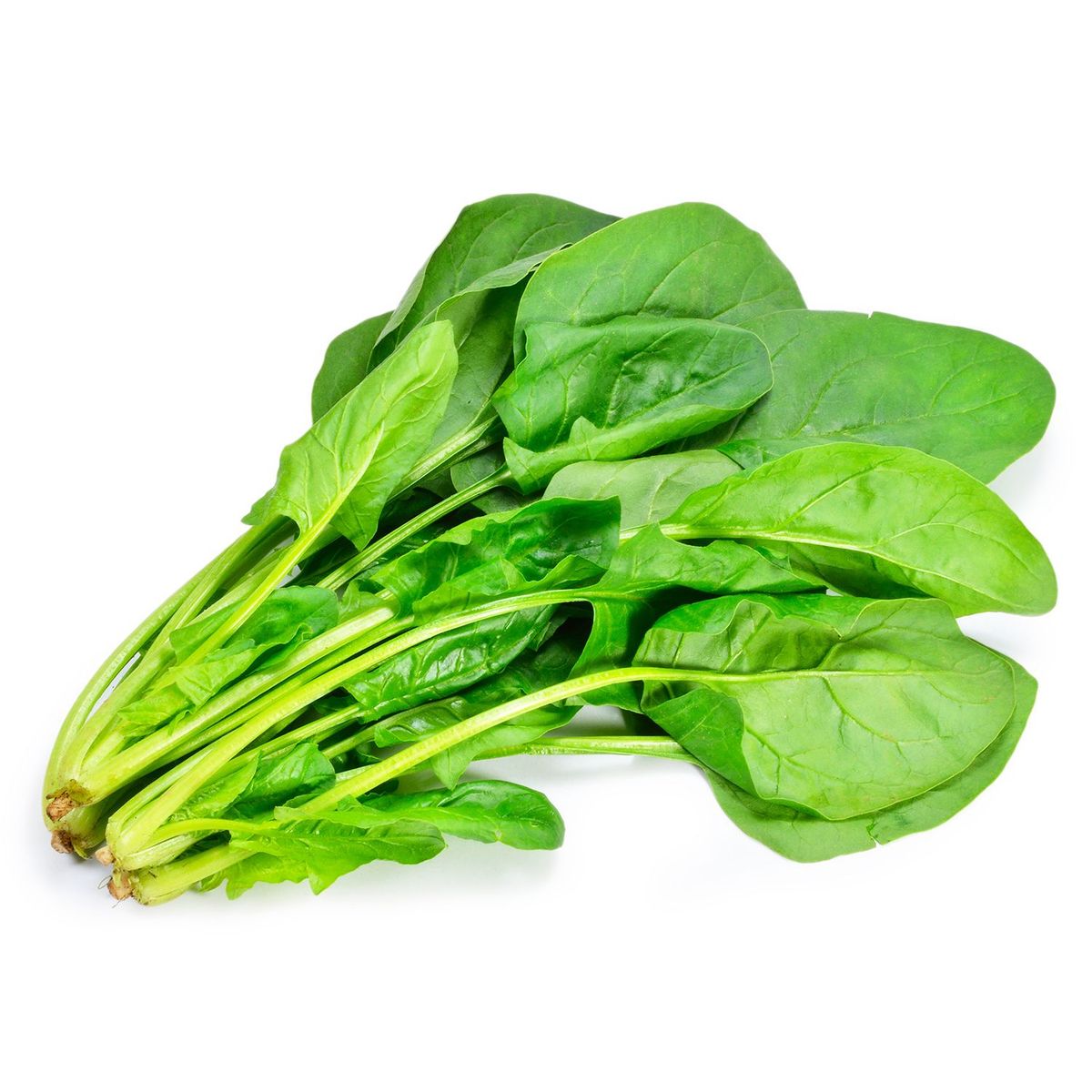 TOTTUS VERDURAS - Espinaca Tottus 400 g