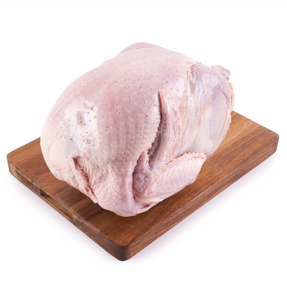 REDONDOS - Pavo Redondos