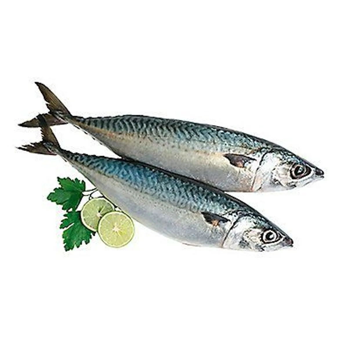 TOTTUS - Caballa Entera Congelada x Kg