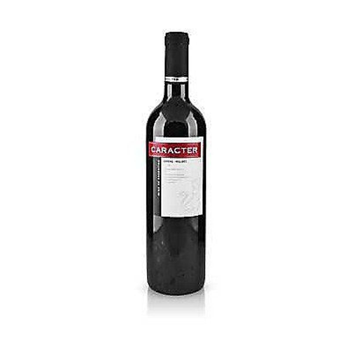 CARACTER - Vino Tinto Caracter Syrah Malbec Botella 750 mL