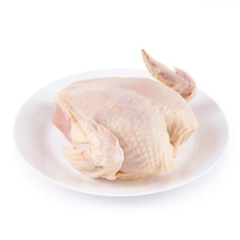 TOTTUS - Pechuga con Ala de Pollo