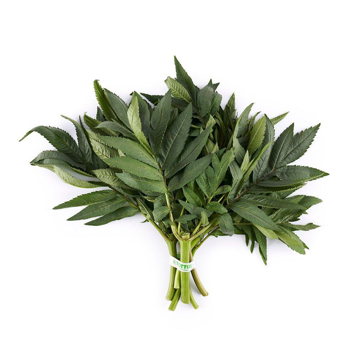 TOTTUS VERDURAS - Huacatay Tottus