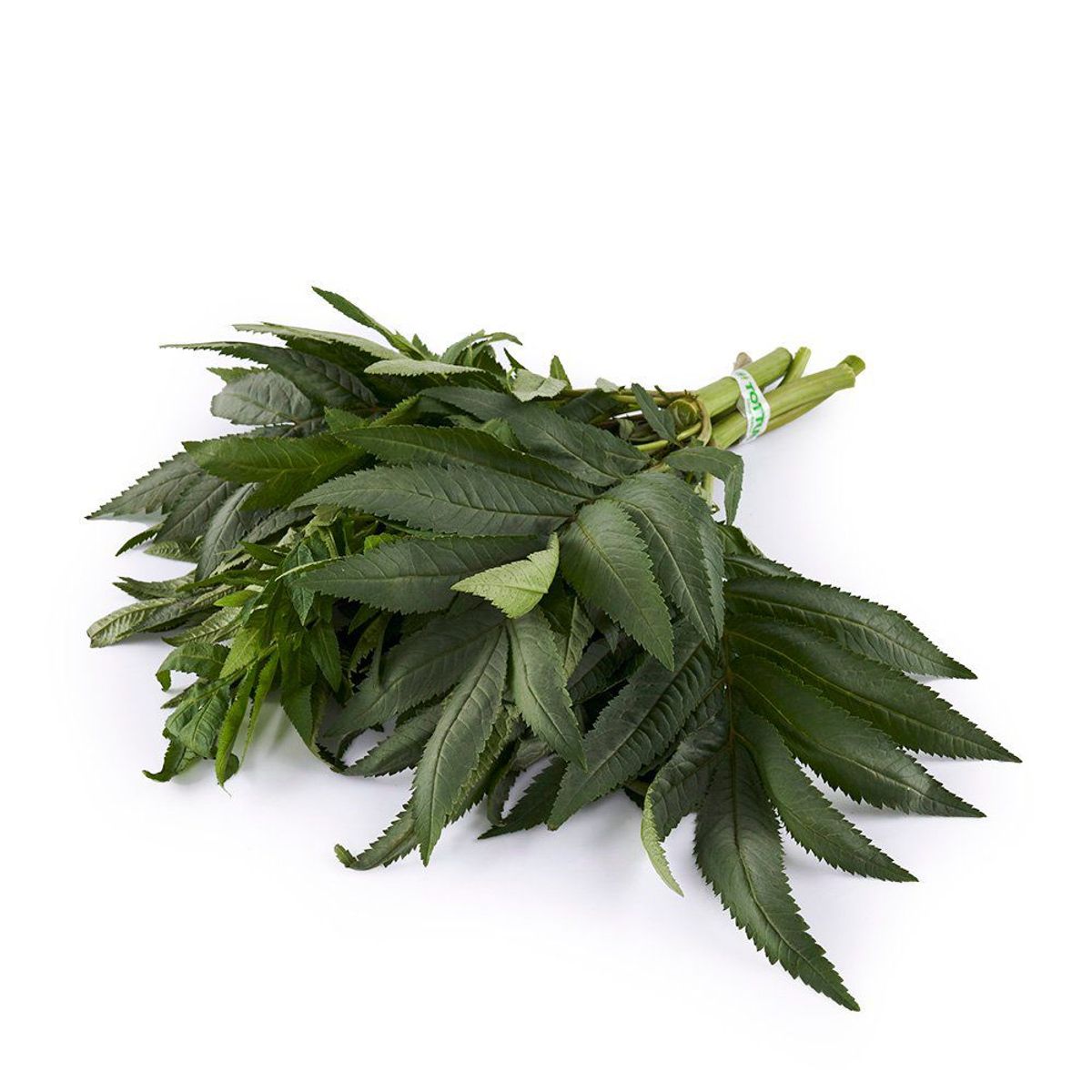 TOTTUS VERDURAS - Huacatay Tottus