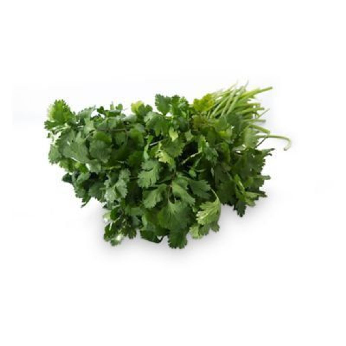 TOTTUS VERDURAS - Culantro Tottus