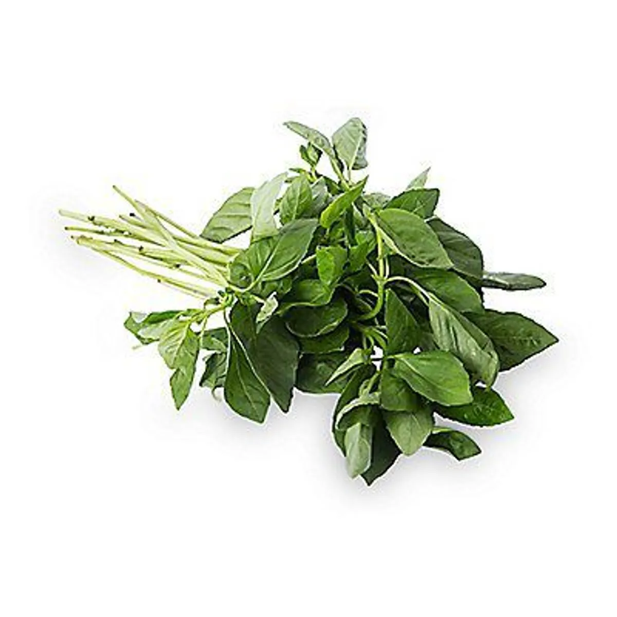 TOTTUS - Albahaca Tottus