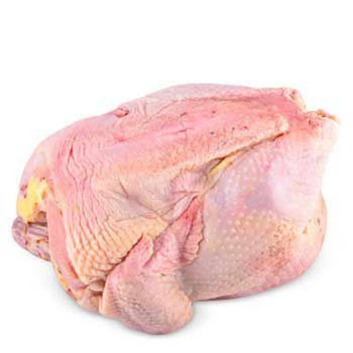 TOTTUS - Gallina Entera
