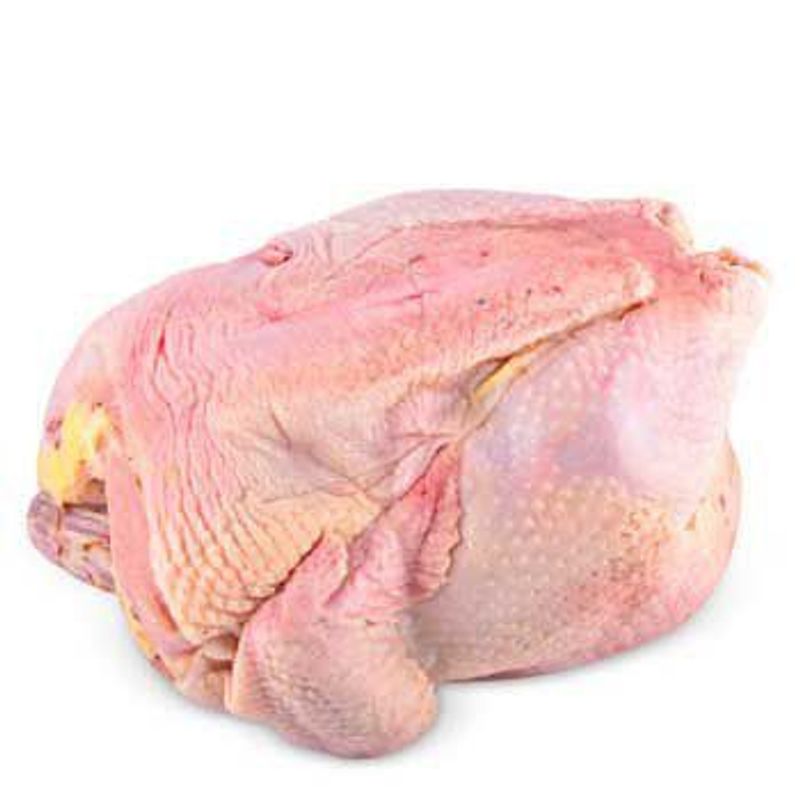 TOTTUS - Gallina Entera