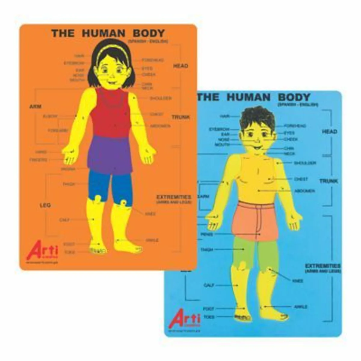 ARTI CREATIVO - Juego Didáctico Arti Creativo Encaje Cuerpo Humano