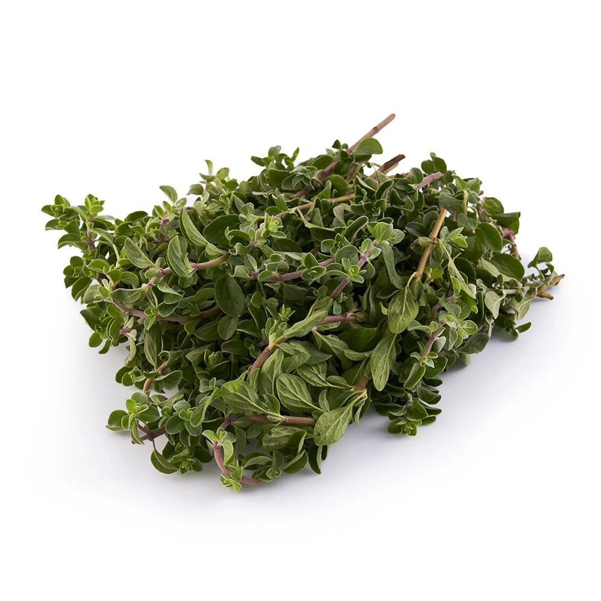TOTTUS - Mejorana Tottus