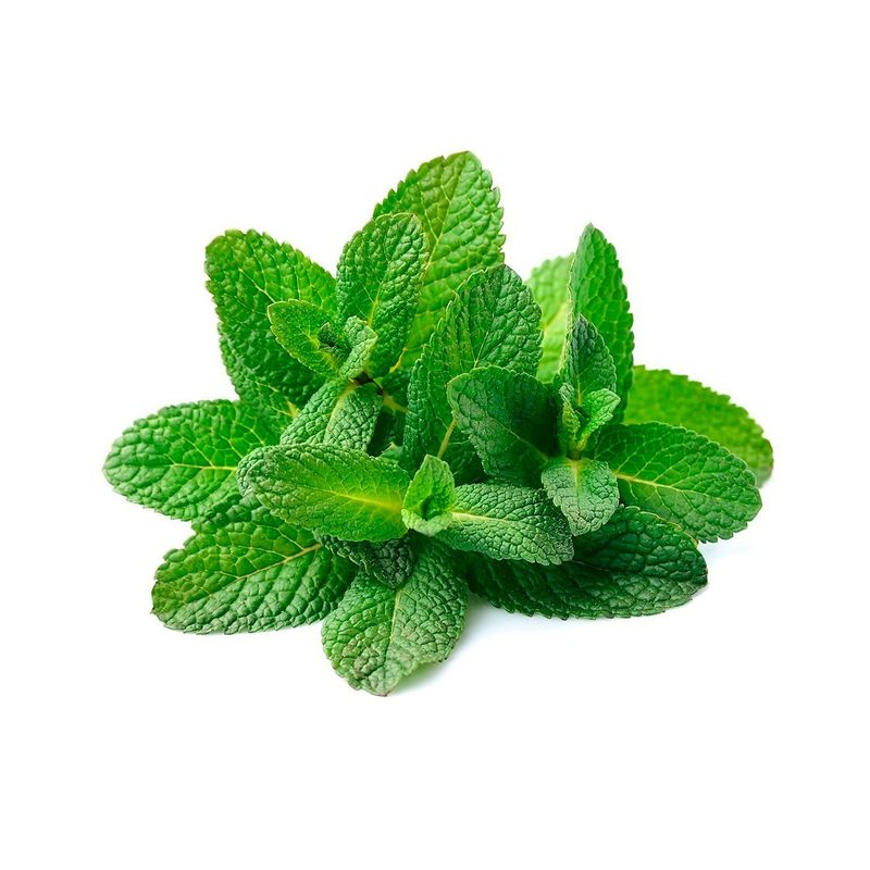 TOTTUS VERDURAS - Menta Tottus
