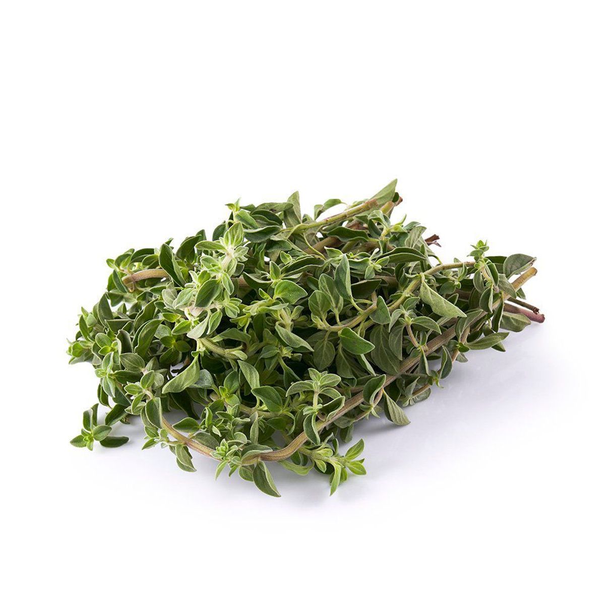 TOTTUS VERDURAS - Orégano Tottus