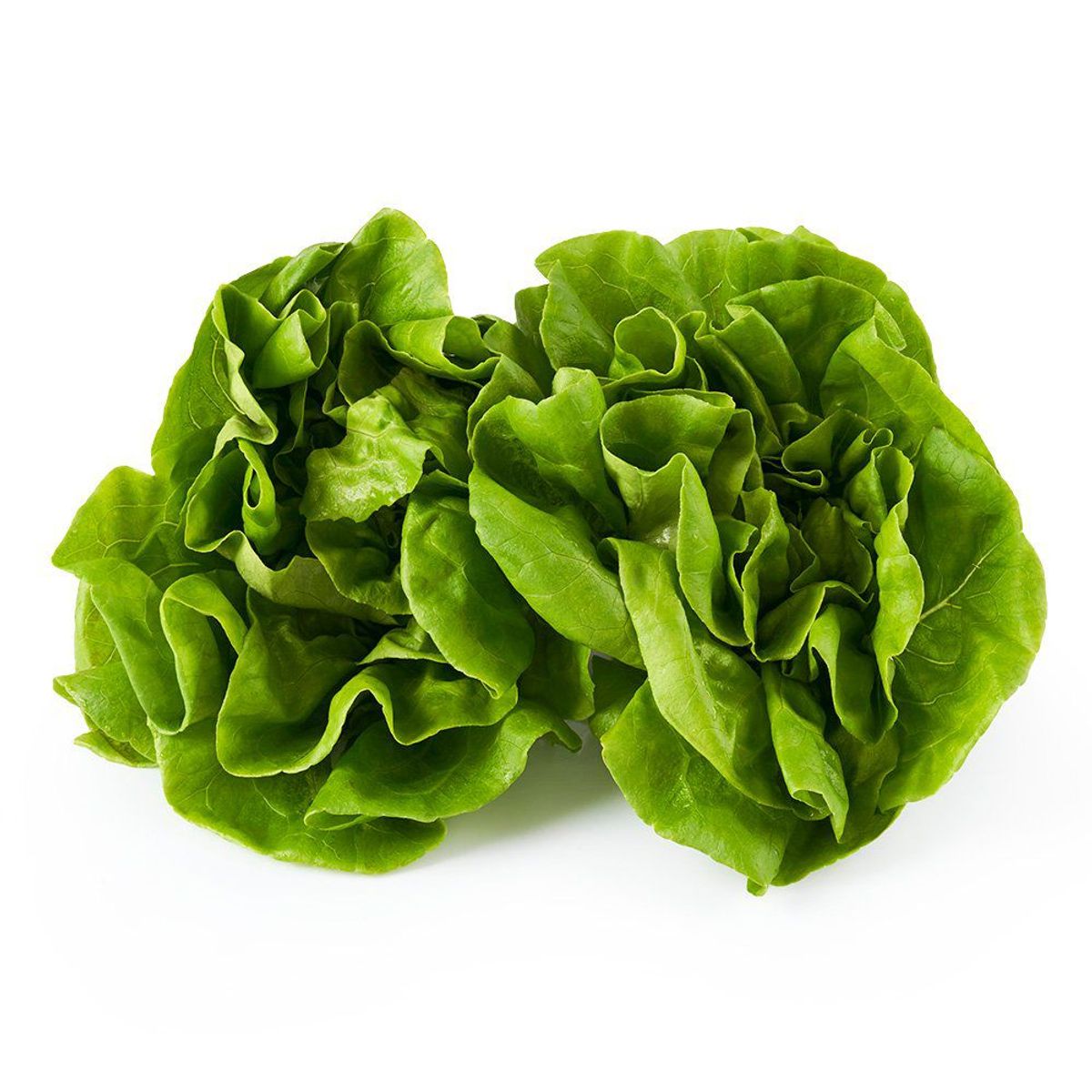 TOTTUS - Lechuga Hidropónica Tottus